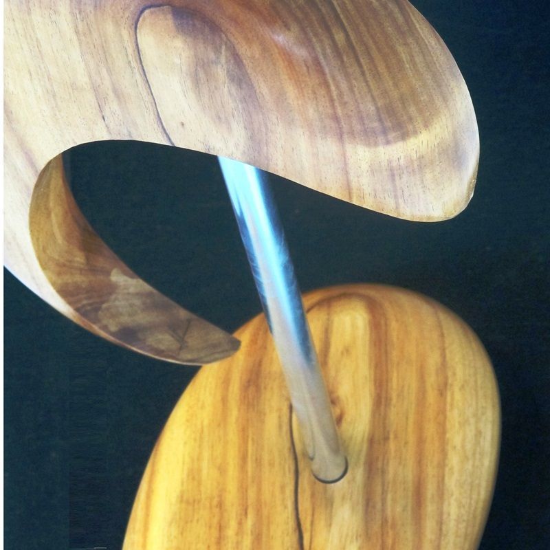 escultura orgánica de madera de acacia