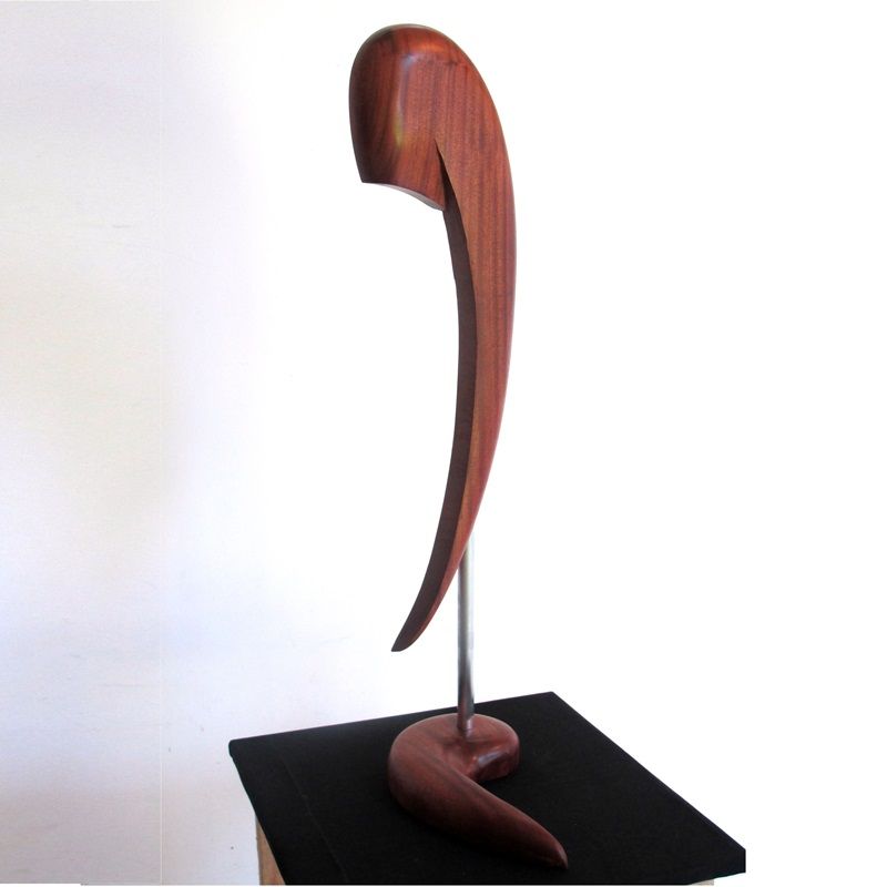 escultura orgánica de madera de sapelly